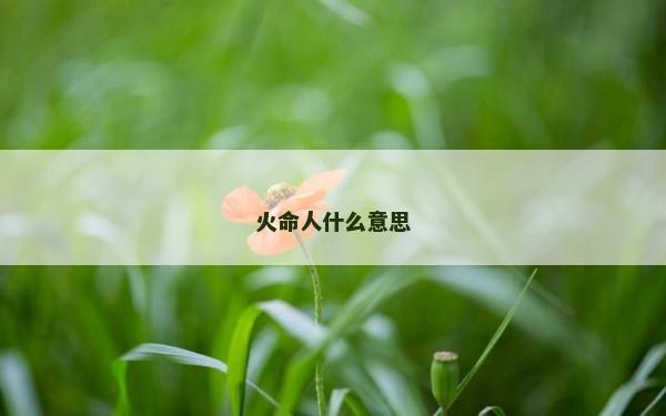 火命人什么意思