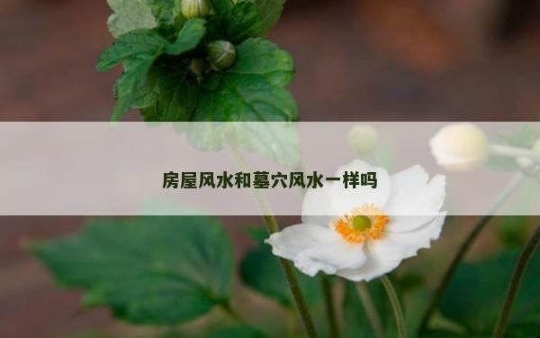 房屋风水和墓穴风水一样吗