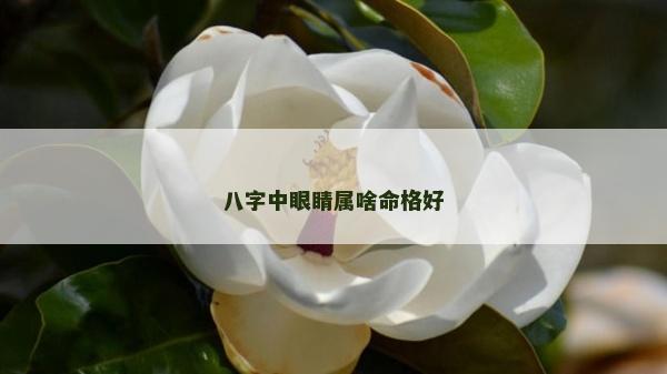 八字中眼睛属啥命格好