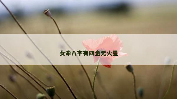 女命八字有四金无火星