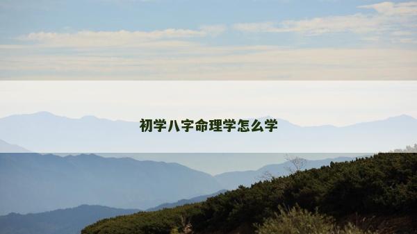 初学八字命理学怎么学