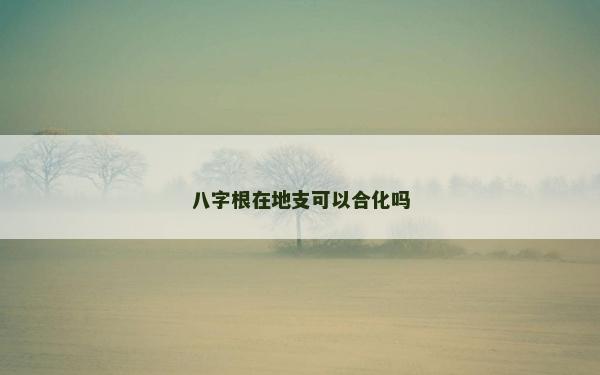 八字根在地支可以合化吗