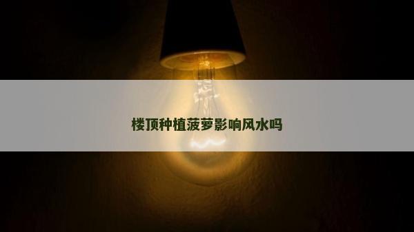 楼顶种植菠萝影响风水吗