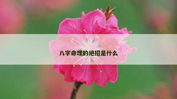 八字命理的绝招是什么