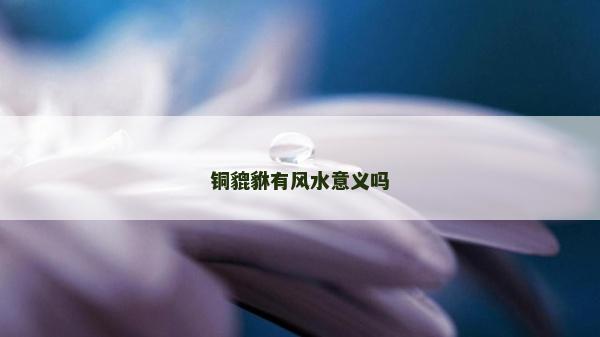 铜貔貅有风水意义吗