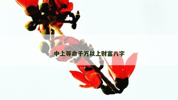 中上等命千万以上财富八字
