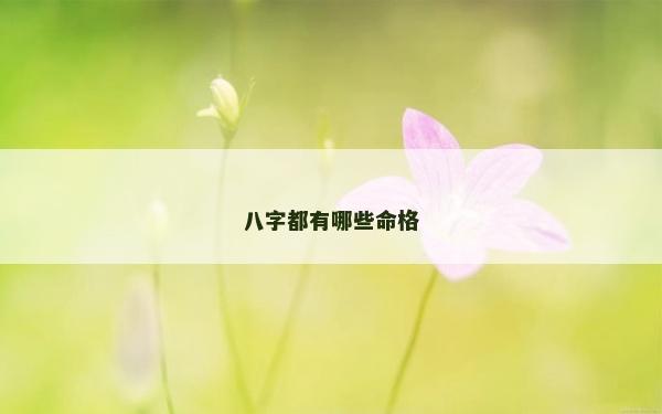 八字都有哪些命格