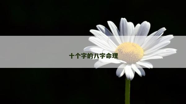 十个字的八字命理