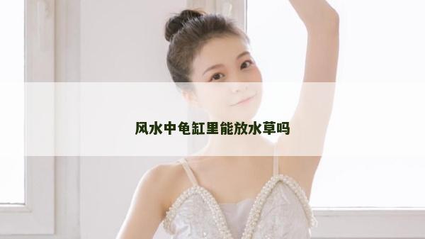 风水中龟缸里能放水草吗