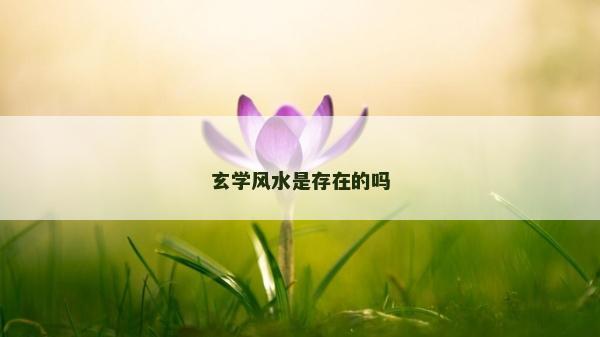玄学风水是存在的吗