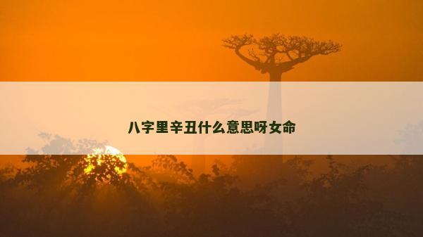 八字里辛丑什么意思呀女命