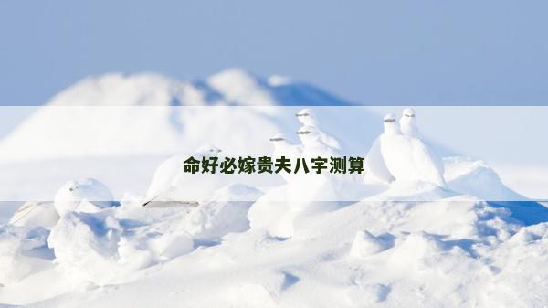 命好必嫁贵夫八字测算