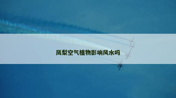 凤梨空气植物影响风水吗