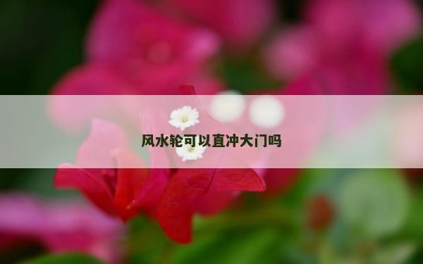 风水轮可以直冲大门吗