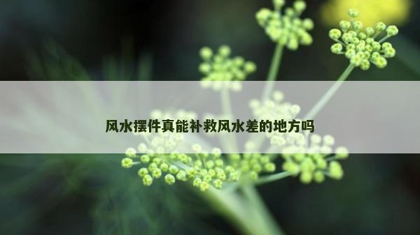 风水摆件真能补救风水差的地方吗