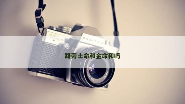 路旁土命和金命和吗