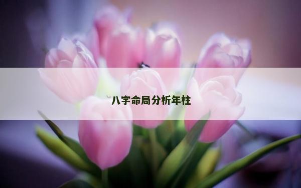 八字命局分析年柱