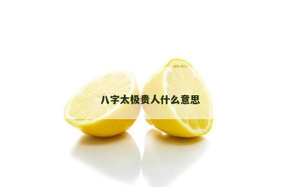 八字太极贵人什么意思