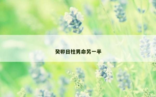 癸卯日柱男命另一半