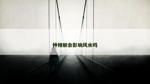 种辣椒会影响风水吗