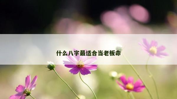 什么八字最适合当老板命