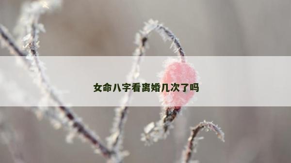 女命八字看离婚几次了吗
