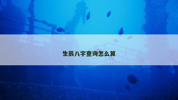 生辰八字查询怎么算
