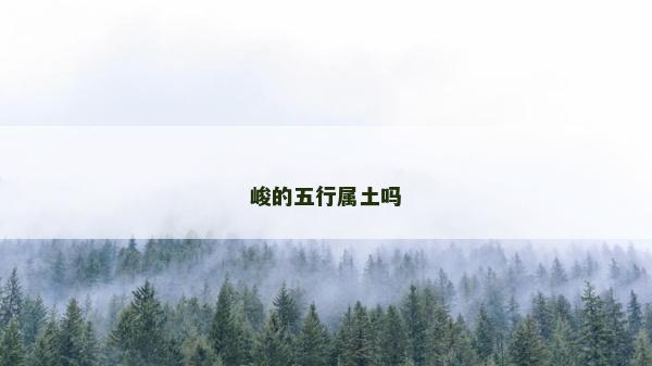 峻的五行属土吗