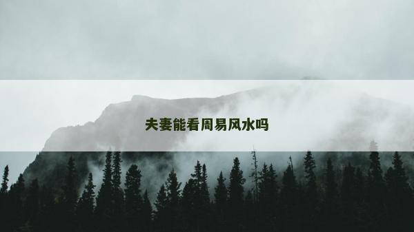 夫妻能看周易风水吗