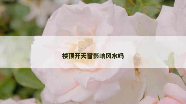 楼顶开天窗影响风水吗