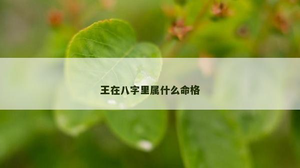 王在八字里属什么命格