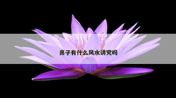 鼻子有什么风水讲究吗