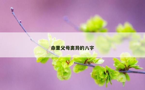 命里父母离异的八字
