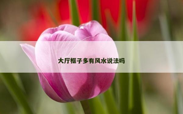 大厅框子多有风水说法吗