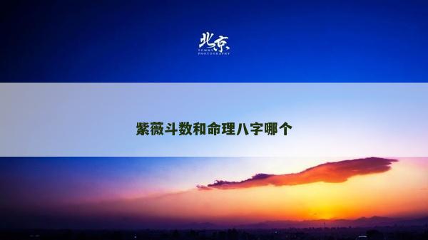 紫薇斗数和命理八字哪个