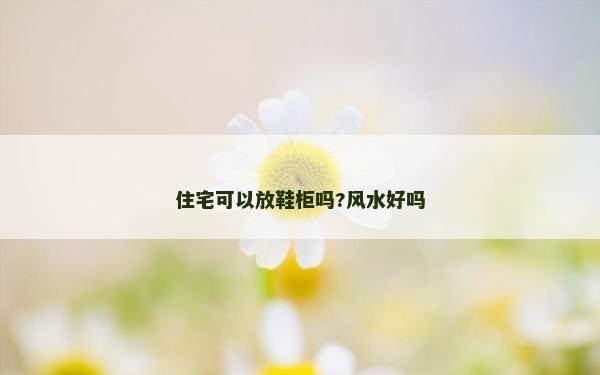 住宅可以放鞋柜吗?风水好吗