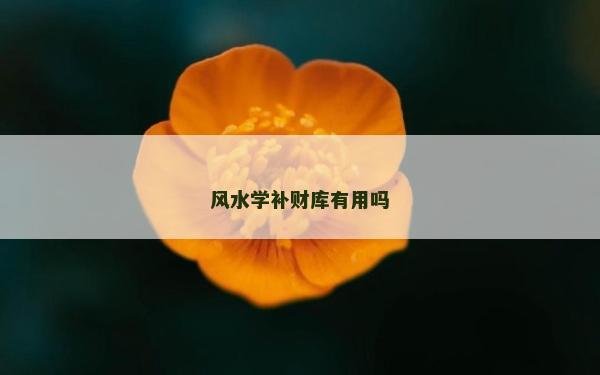风水学补财库有用吗