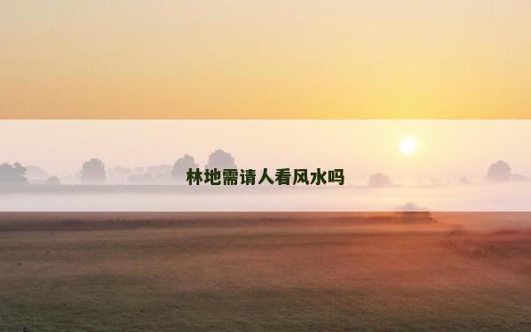 林地需请人看风水吗