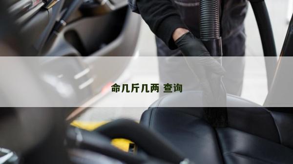 命几斤几两 查询