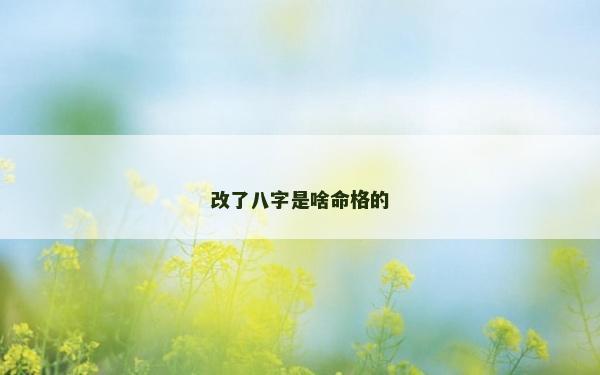 改了八字是啥命格的