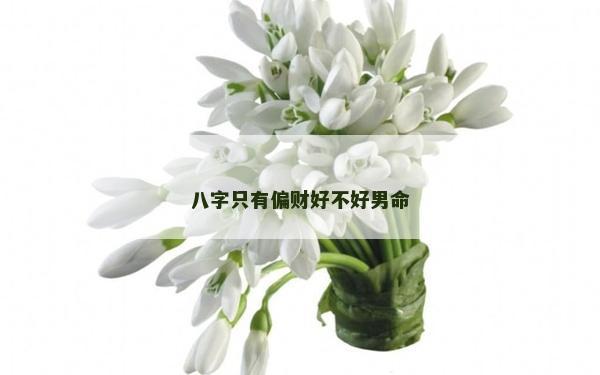 八字只有偏财好不好男命