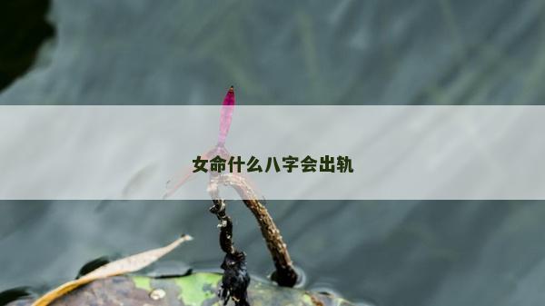 女命什么八字会出轨