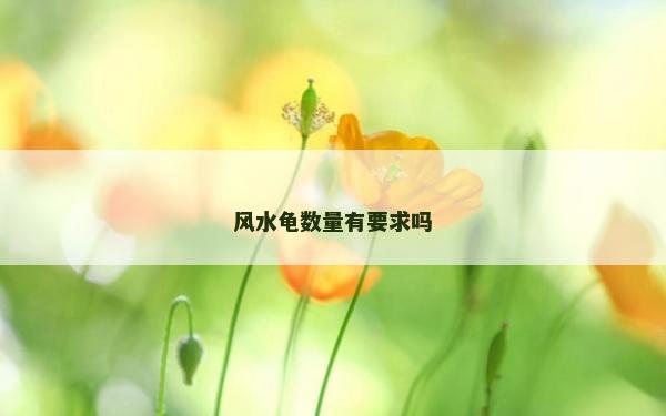 风水龟数量有要求吗