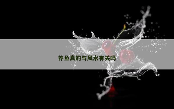 养鱼真的与风水有关吗