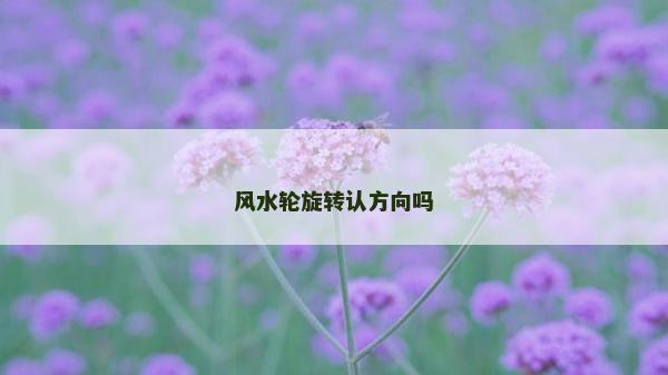 风水轮旋转认方向吗