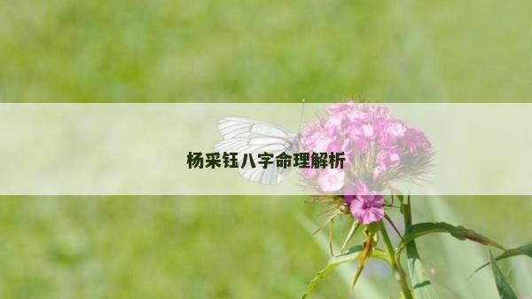 杨采钰八字命理解析