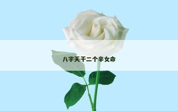 八字天干二个辛女命