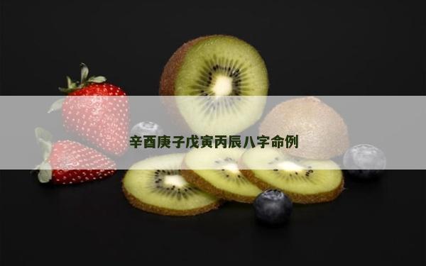 辛酉庚子戊寅丙辰八字命例