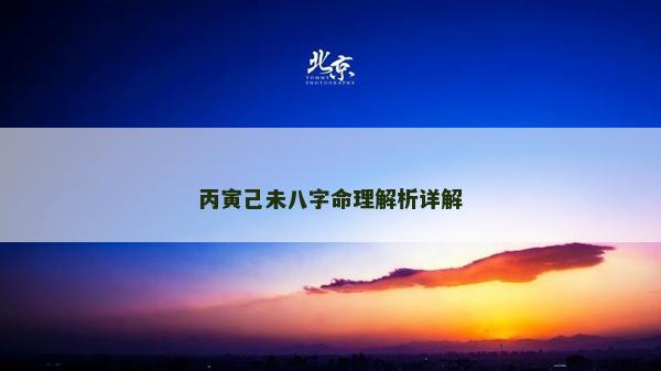 丙寅己未八字命理解析详解