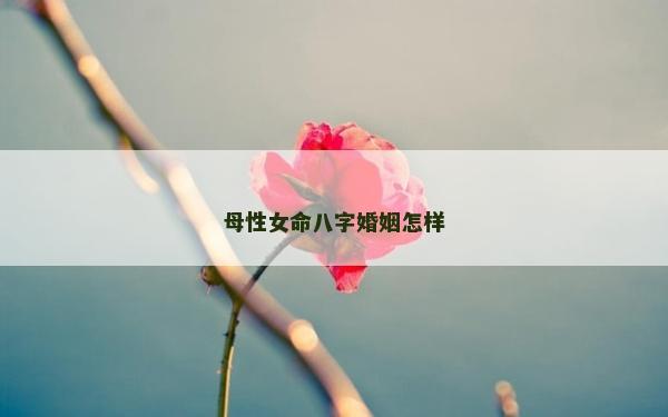 母性女命八字婚姻怎样
